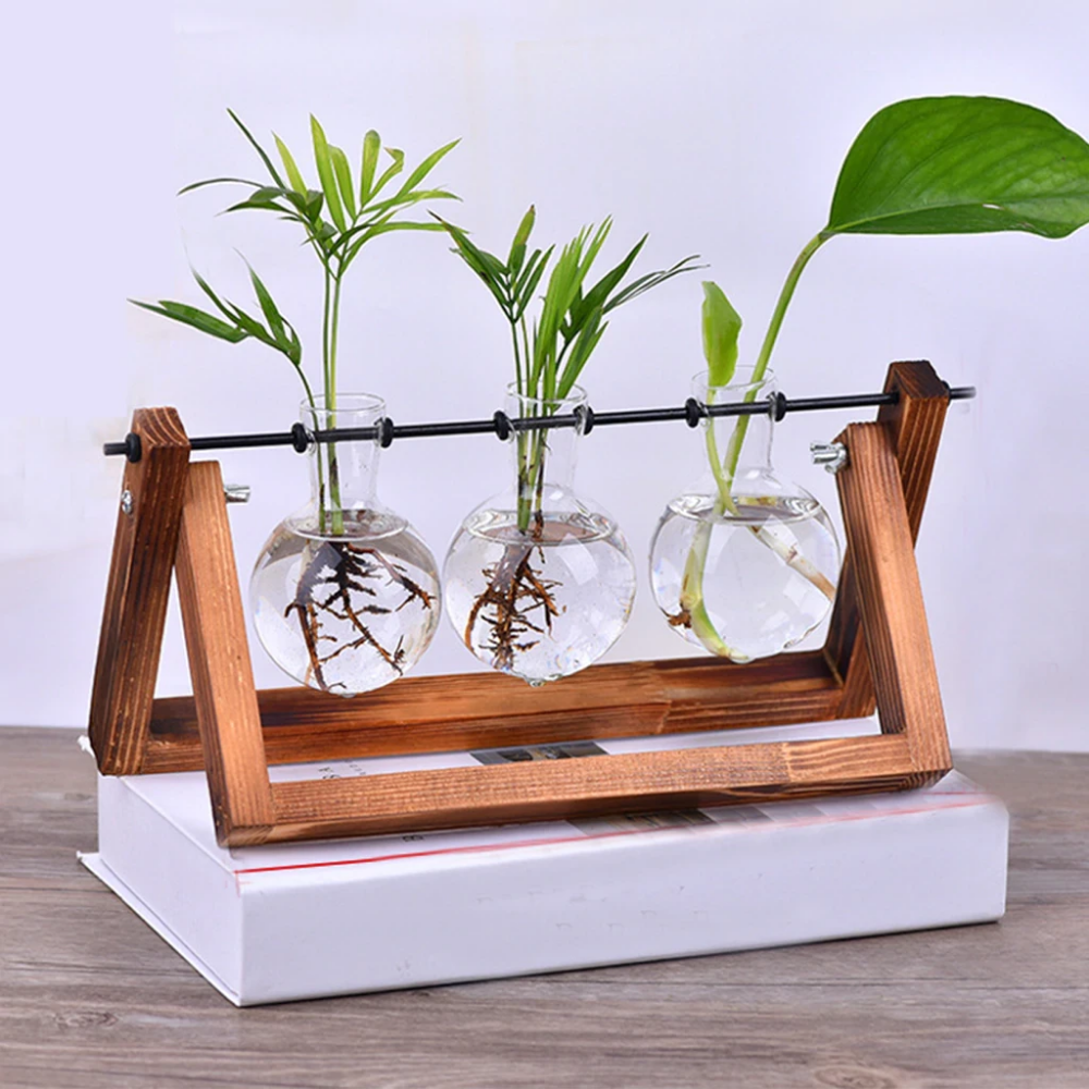 Hydroponic Plant Vase