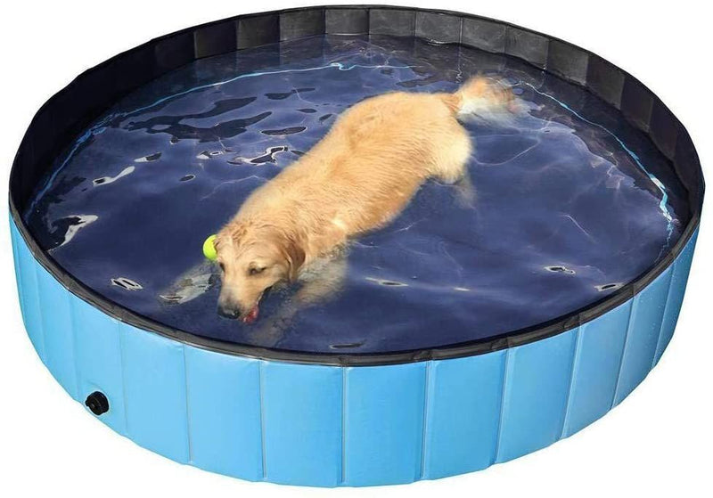 Dog sales proof pool