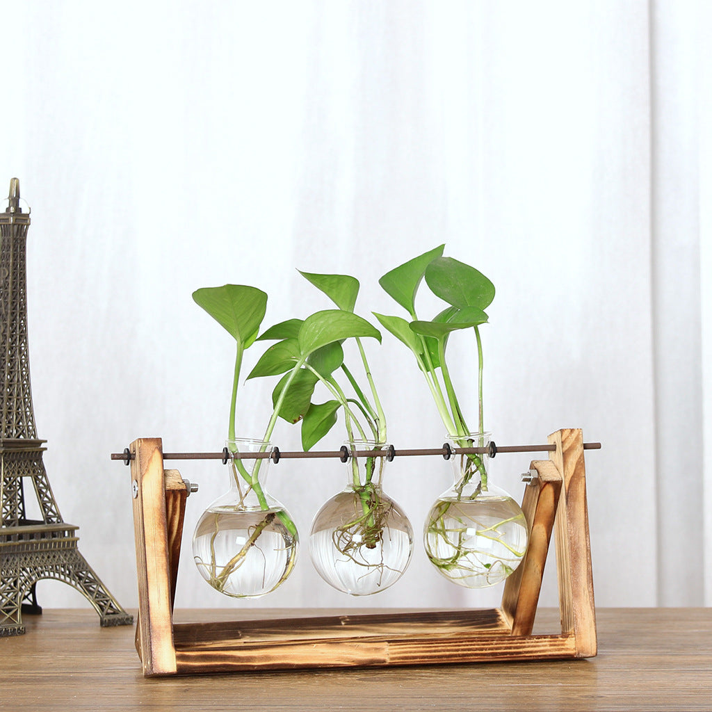 Hydroponic Plant Vase