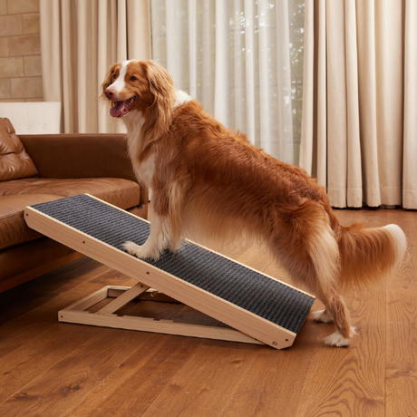 Mobile Dog Ramp